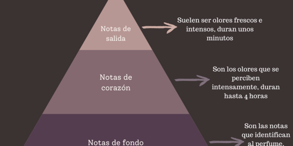 What is the olfactory pyramid and how to use it?