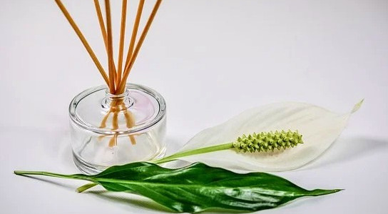 Entdecken Sie die Vielfalt an Flakons für Reed-Diffuser, um das beste Aroma zu bewahren