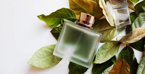 Fragancias ideales para el otoño. Encuentra tu perfume otoñal ideal