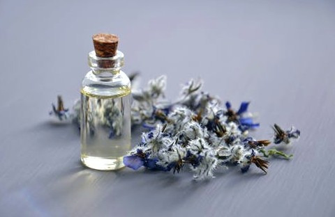 Perfume manufacturers and their industry: Trends in the sector