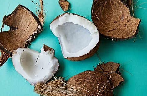 Vous aimeriez savoir quelles sont les propriétés de la noix de coco?