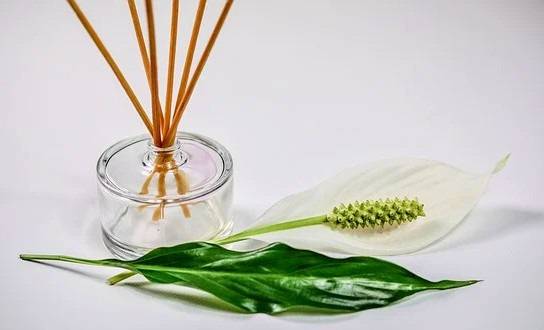 Entdecken Sie die Vielfalt an Flakons für Reed-Diffuser, um das beste Aroma zu bewahren